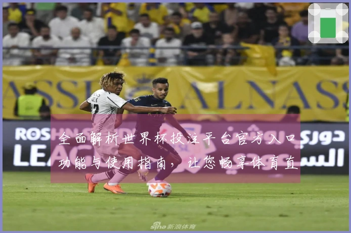 全面解析世界杯投注平台官方入口功能与使用指南，让您畅享体育直播体验