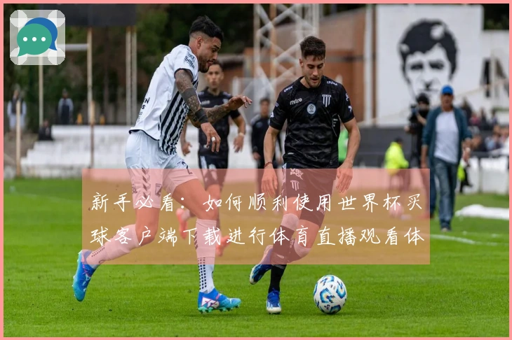 新手必看：如何顺利使用世界杯买球客户端下载进行体育直播观看体验