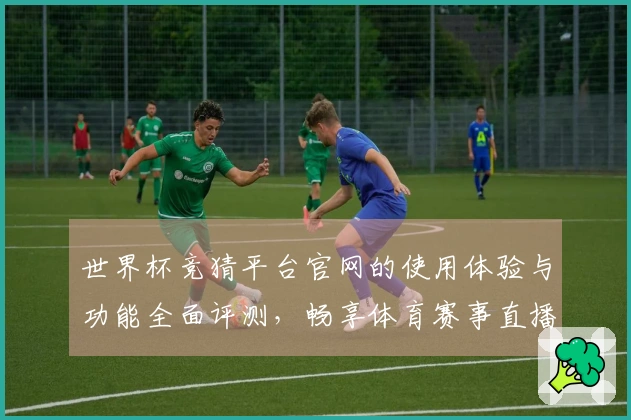 世界杯竞猜平台官网的使用体验与功能全面评测，畅享体育赛事直播乐趣