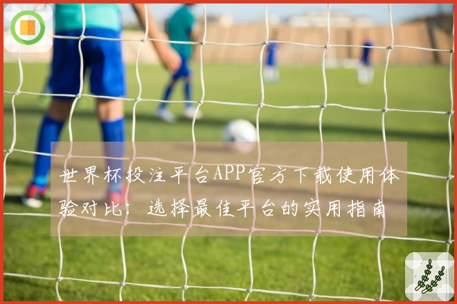世界杯投注平台APP官方下载使用体验对比：选择最佳平台的实用指南