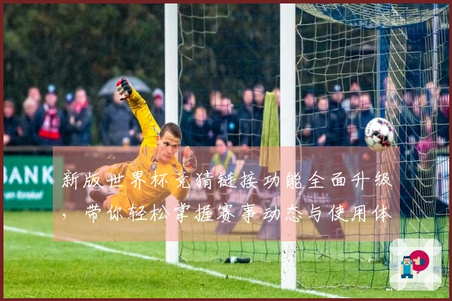 新版世界杯竞猜链接功能全面升级，带你轻松掌握赛事动态与使用体验