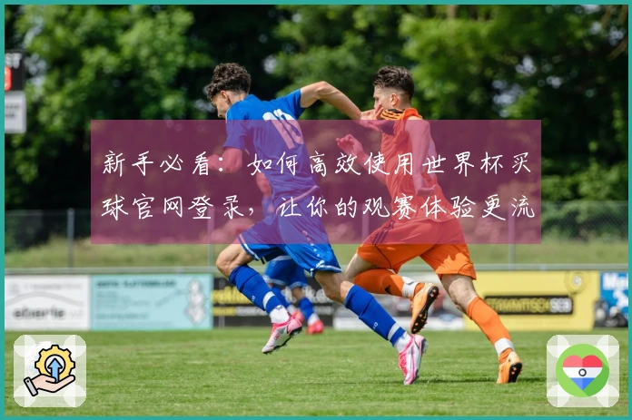 新手必看：如何高效使用世界杯买球官网登录，让你的观赛体验更流畅