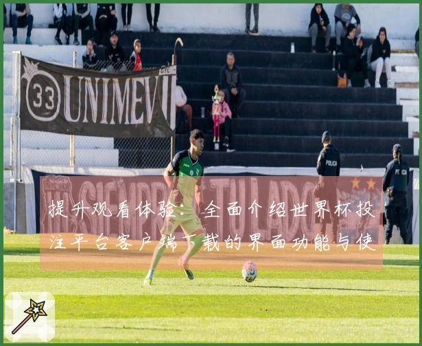 提升观看体验：全面介绍世界杯投注平台客户端下载的界面功能与使用技巧