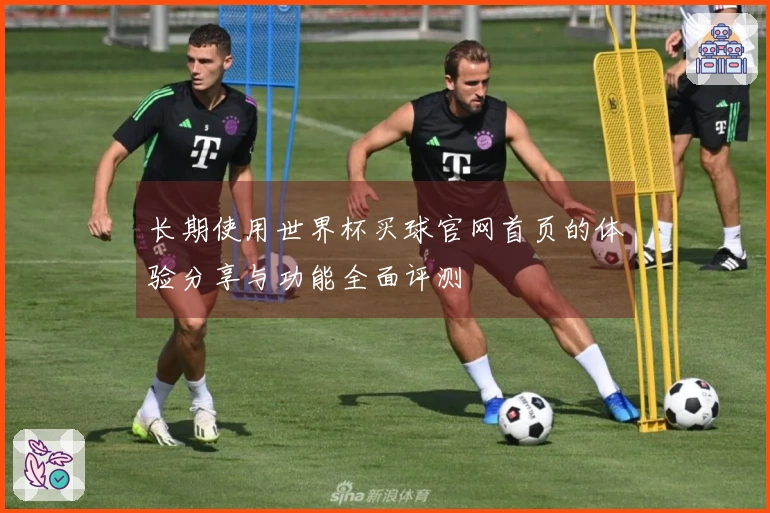 长期使用世界杯买球官网首页的体验分享与功能全面评测