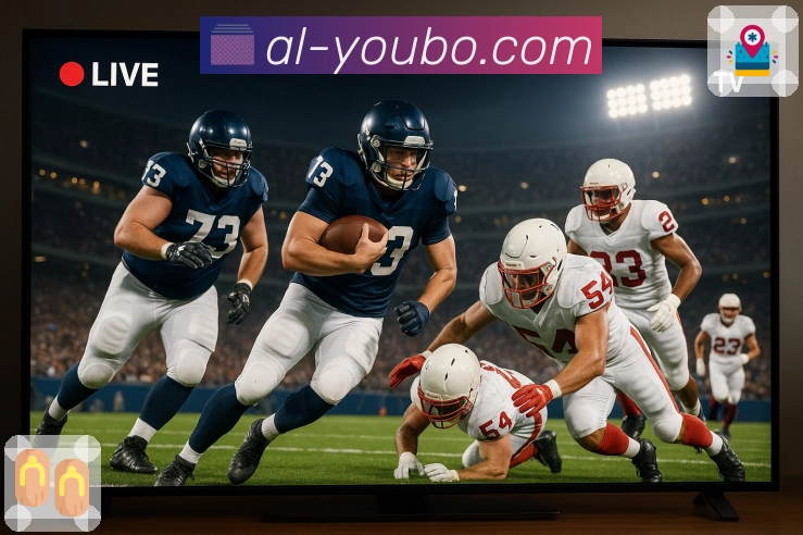 移动端体验认证展示